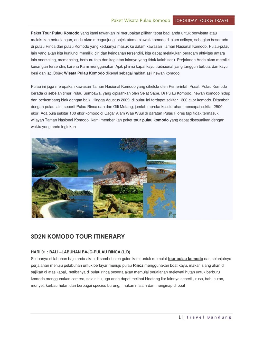 paket wisata pulau komodo iqholiday tour travel