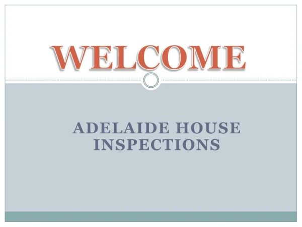Get the best pre purchase inspections in Seaview