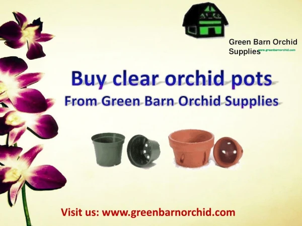 Shop clear orchid pots at best prices online | Green Barn Orchid Supplies