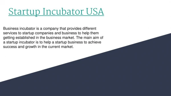 Startup Incubator USA