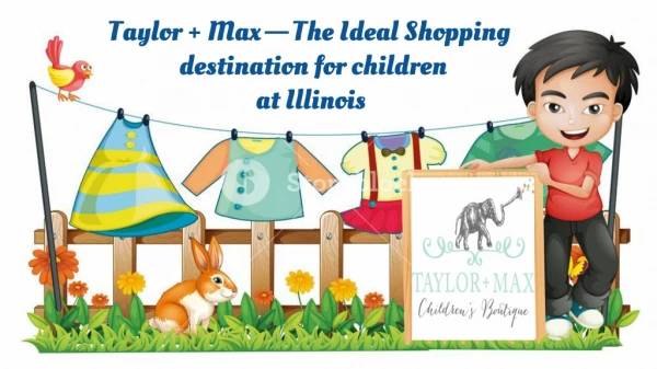 Taylor Max — The Ideal Shopping destination for children at Illinois