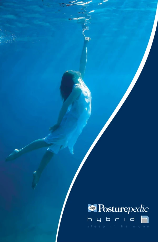 Sealy Hybrid Brochure
