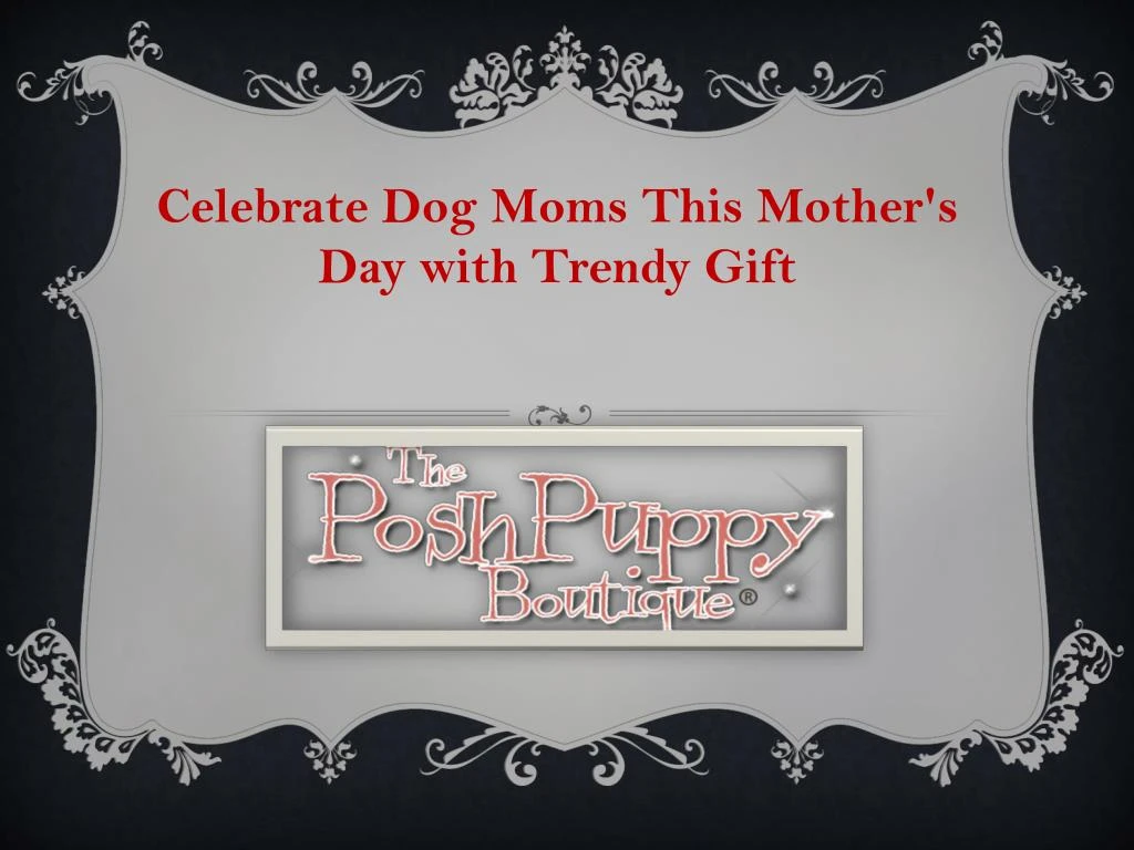celebrate dog moms this mother s day with trendy