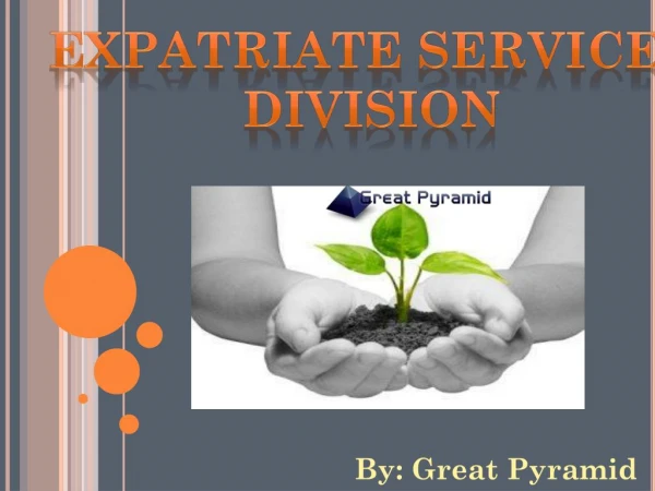 Avail an easy way to get an expatriate services division pass