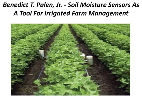 Benedict T. Palen, Jr. - Soil Moisture Sensors As A Tool For Irrigated Farm Management
