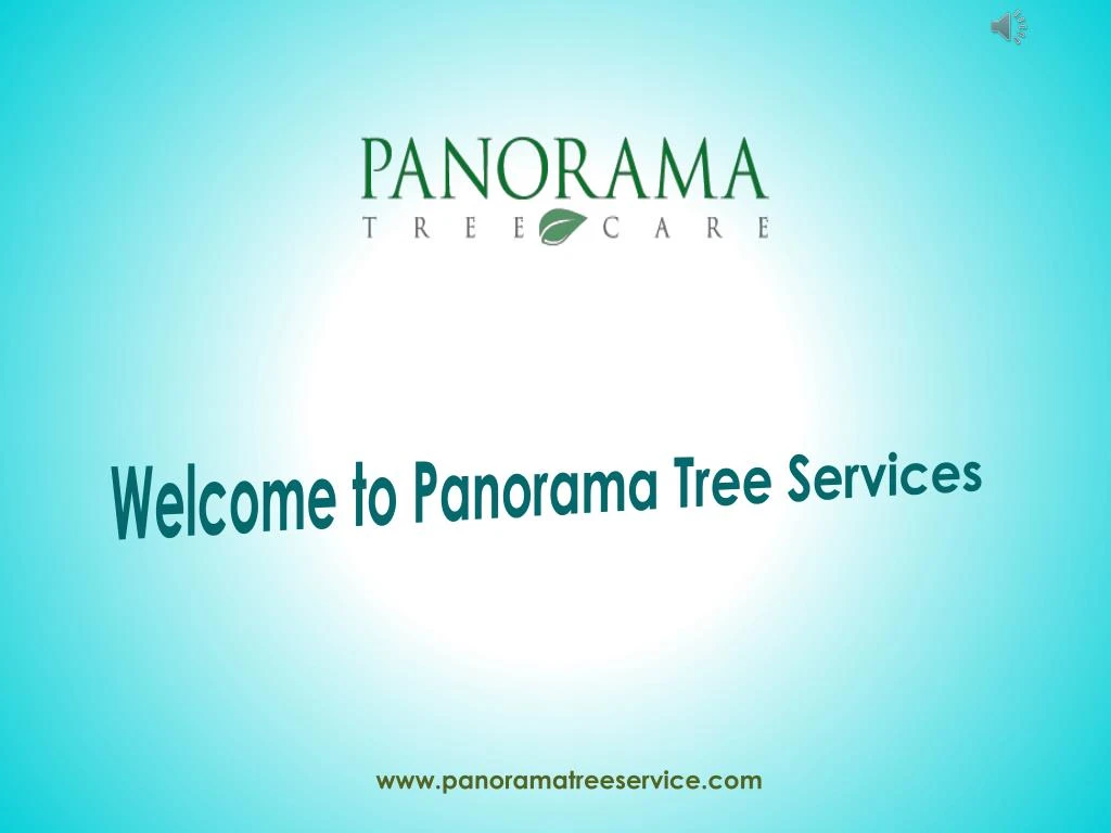 welcome to panorama tree service s