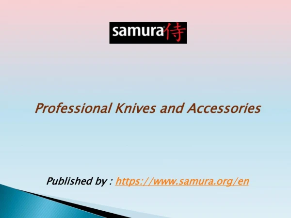 Professional Knives and Accessories