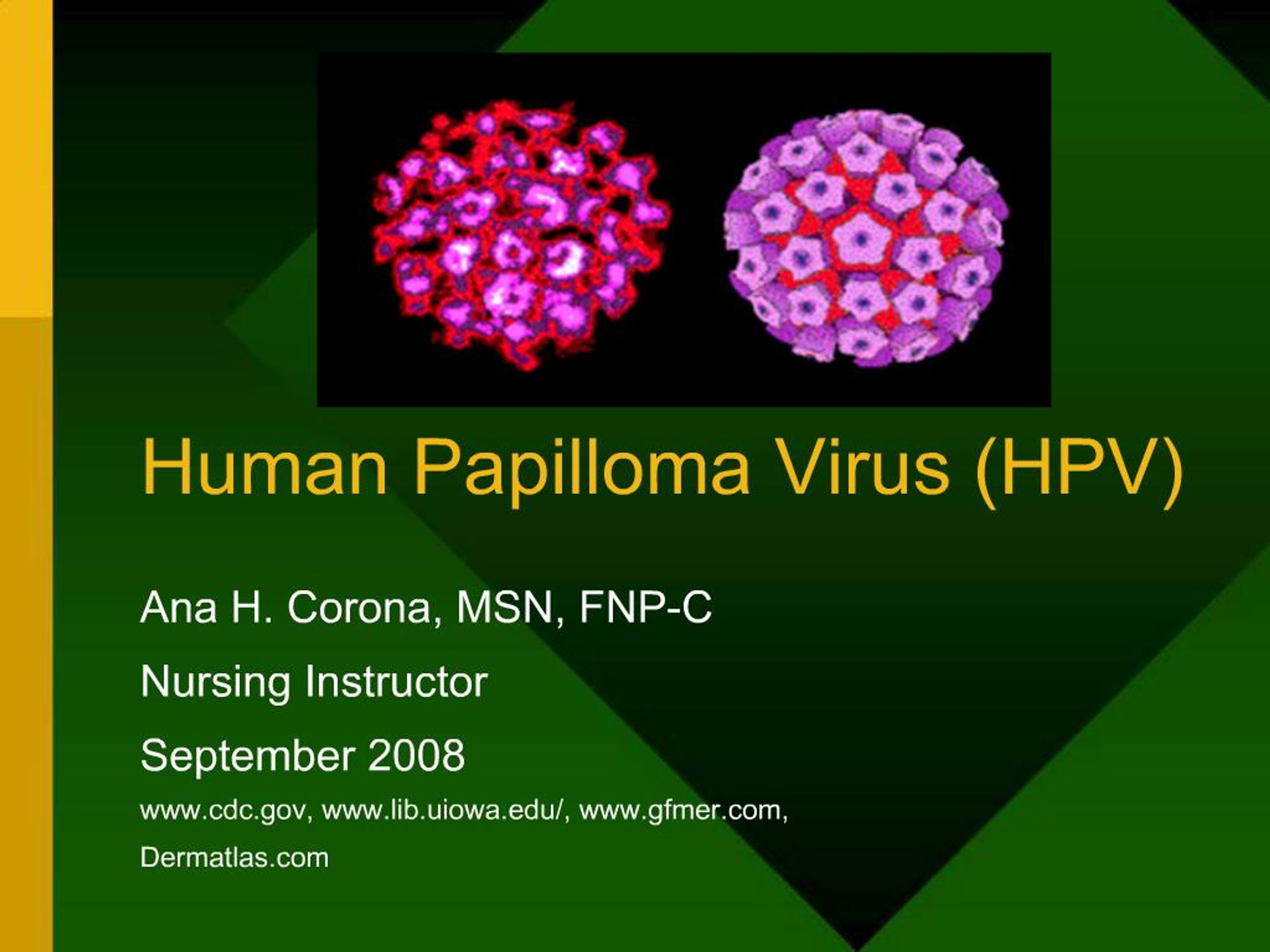 PPT - Human Papilloma Virus HPV PowerPoint Presentation, free download ...