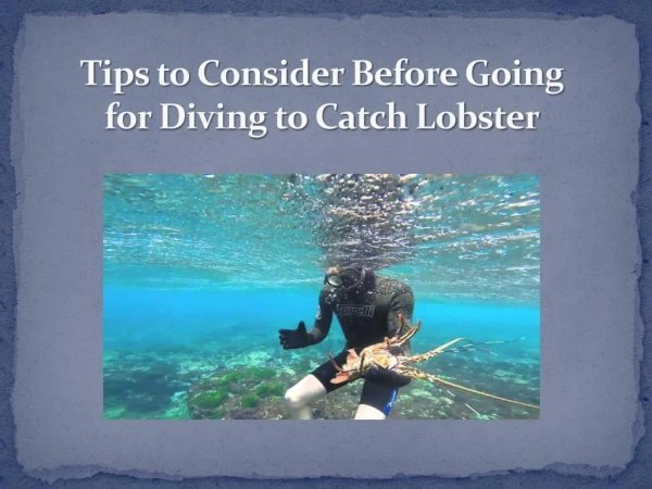 Tips to Consider Before Going for Diving to Catch Lobster