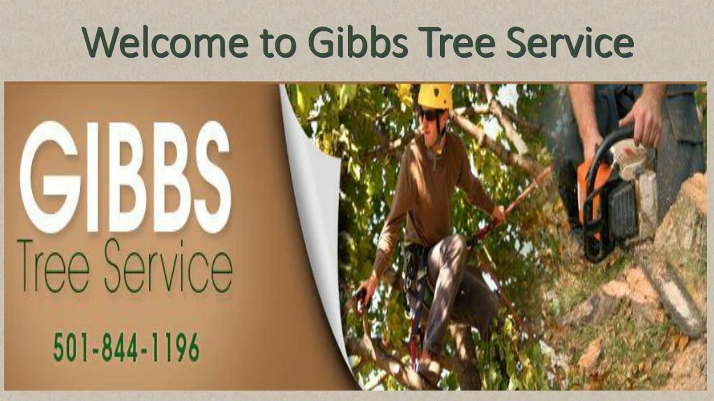 welcome to gibbs tree service