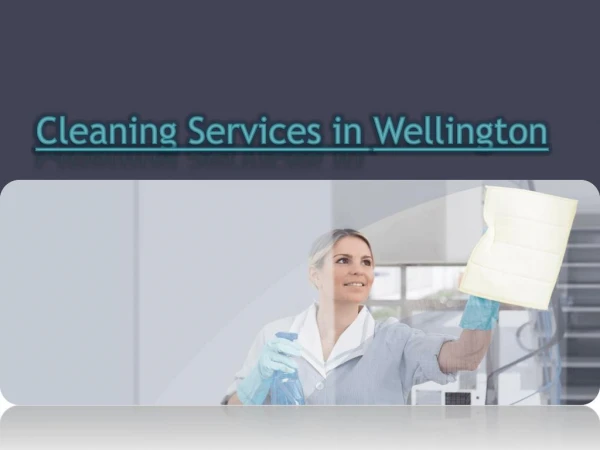 Cleaning Services in Wellington