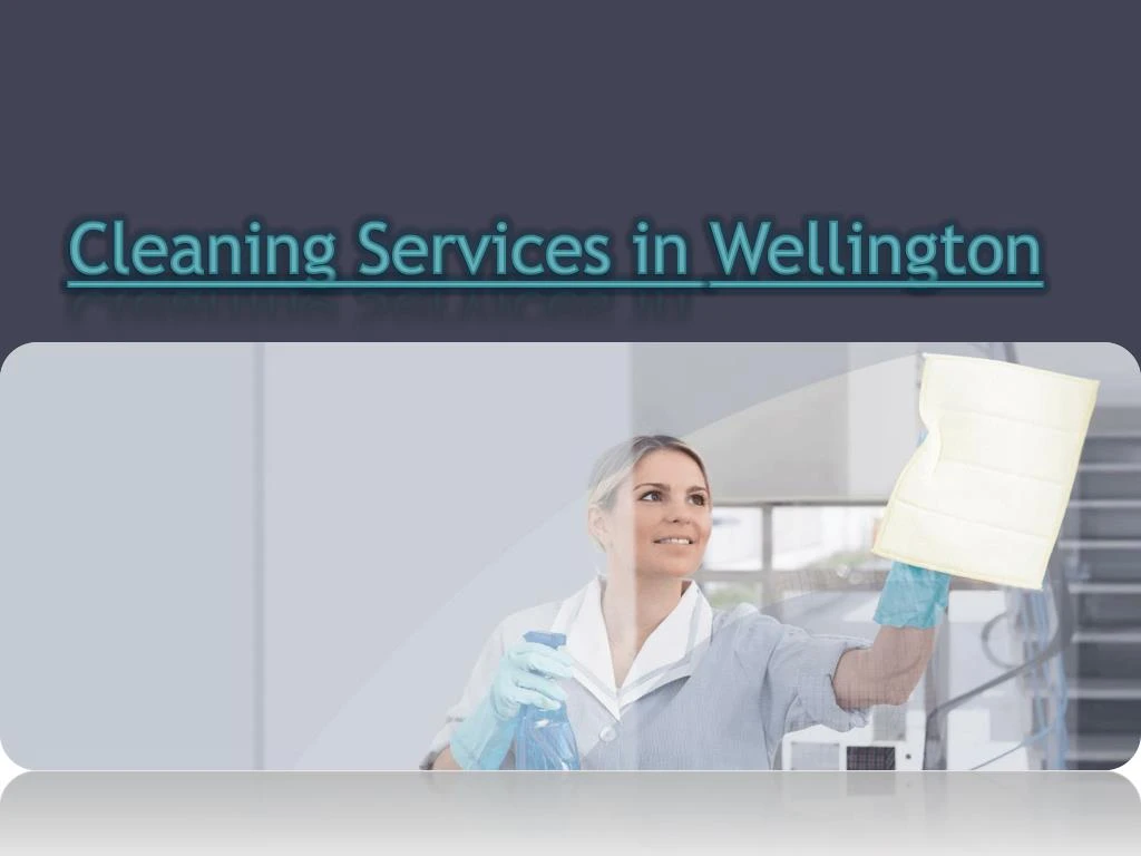 cleaning services in wellington