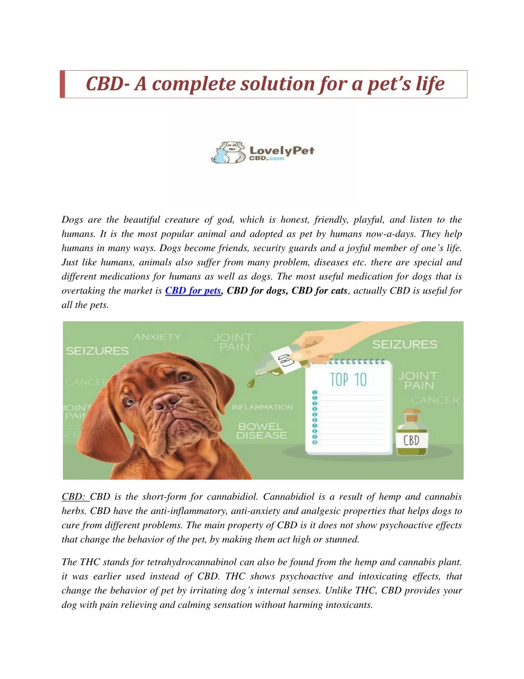 cbd a complete solution for a pet s life