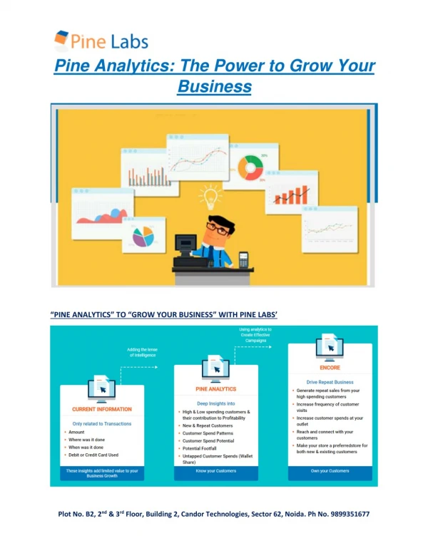 The Power to Grow your Business- Pine Analytics