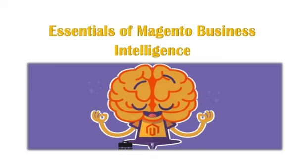 Essentials of Magento Business Intelligence