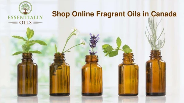 Shop Online Fragrant Oils in Canada | Essentially Oils