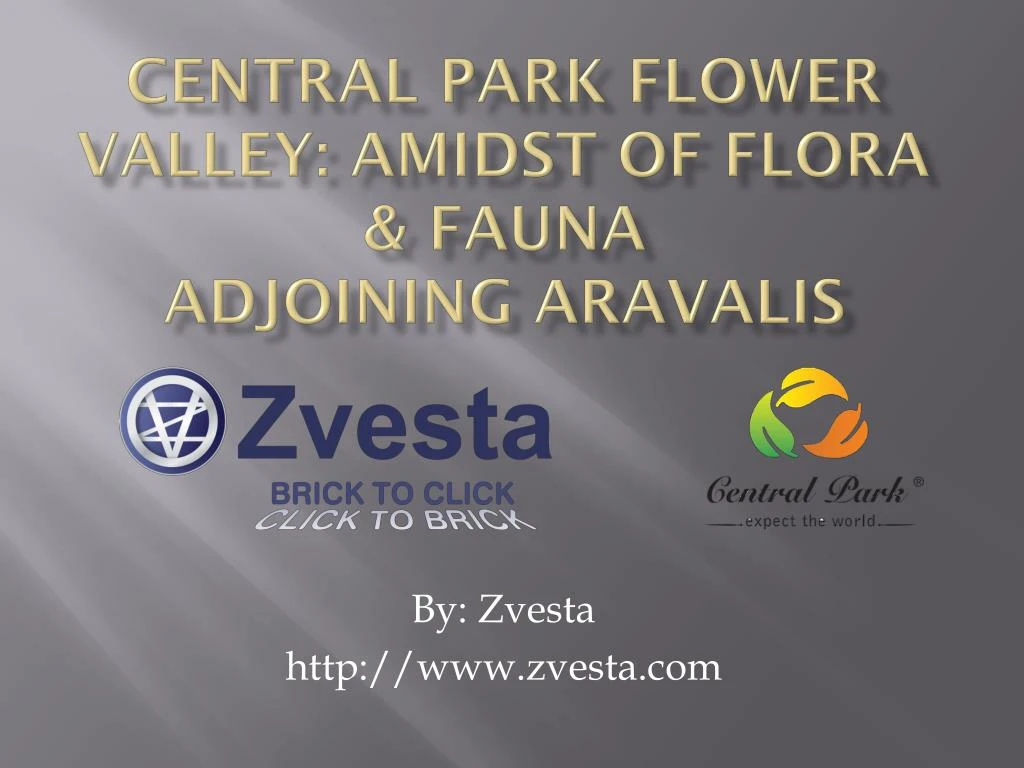 central park flower valley amidst of flora fauna adjoining aravalis