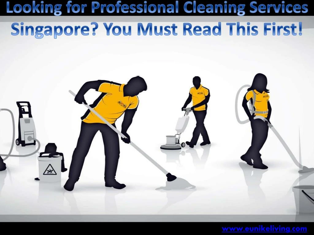 looking for professional cleaning services