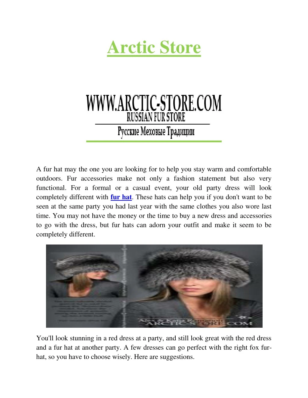 arctic store