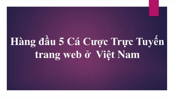 h ng u 5 c c c tr c tuy n trang web vi t nam