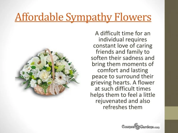 Sympathy Flowers to Send