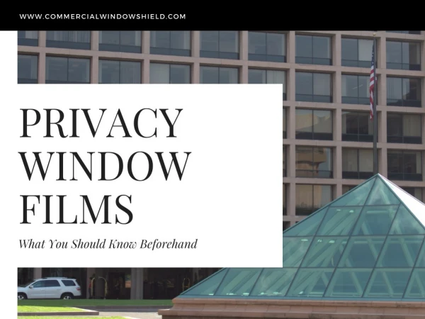 Privacy Window Films- What You Should Know Beforehand