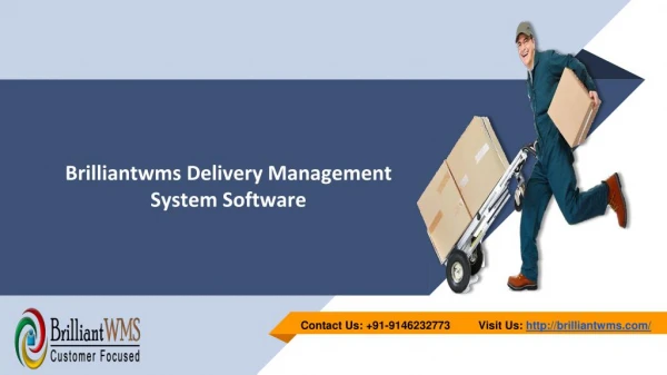 Brilliant Delivery Management System ppt