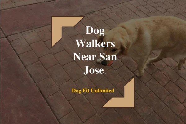 Best Dog Walkers near San Jose area