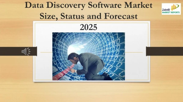 Data Discovery Software Market Size, Status and Forecast 2025