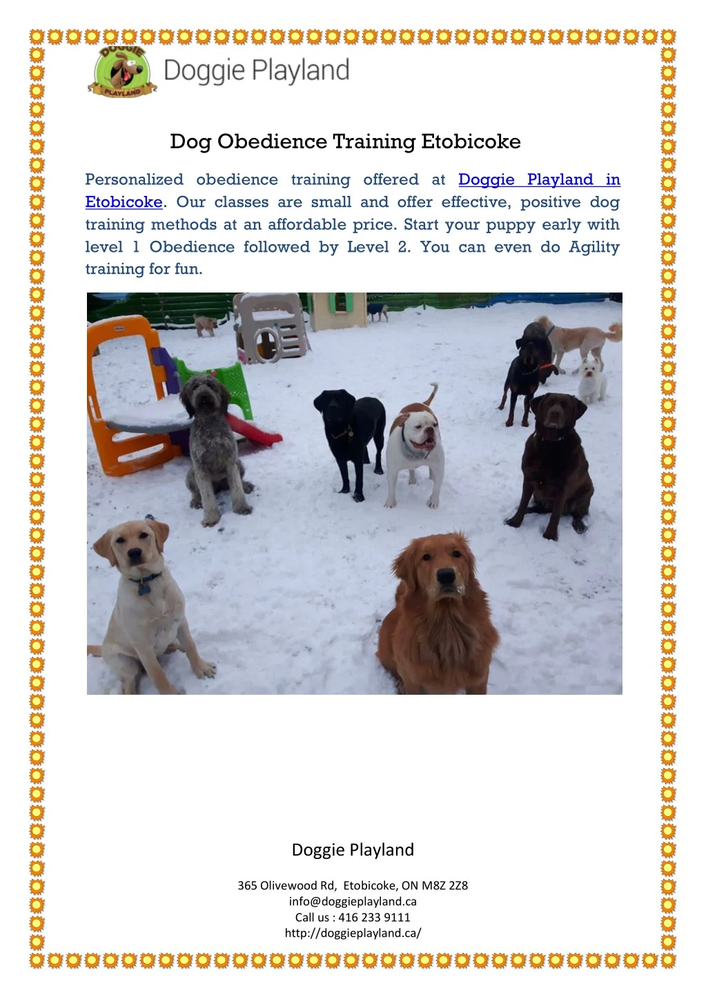 dog obedience training etobicoke