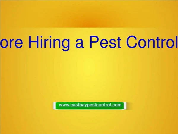 Questions to Ask Before Hiring a Pest Controller.