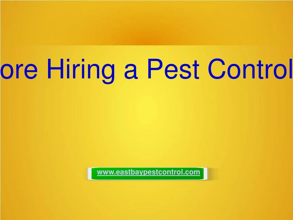 questions to ask before hiring a pest control