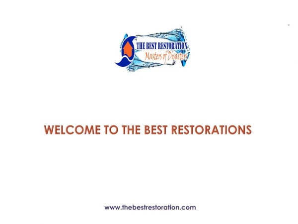 Area Rug Cleaning Service Provider in Gainesville - The Best Restoration