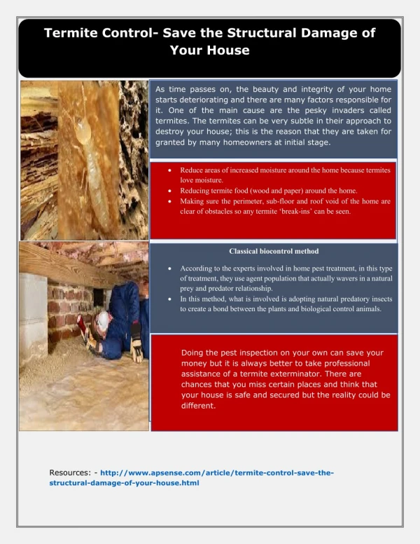 Termite control - Save the structural damage of your house