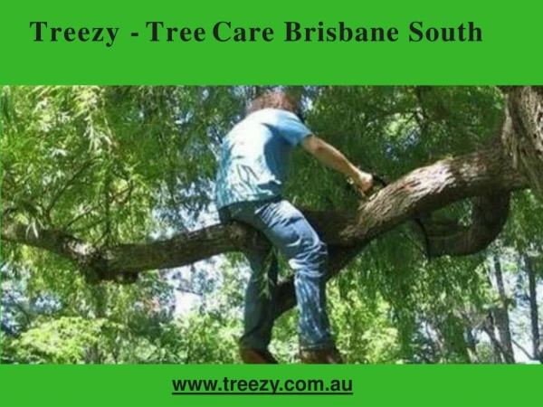 Tree Care Brisbane South