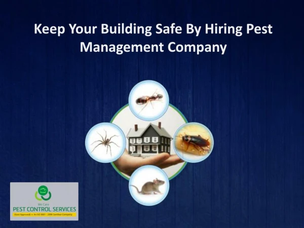 Keep Your Building Safe By Hiring Pest Management Company
