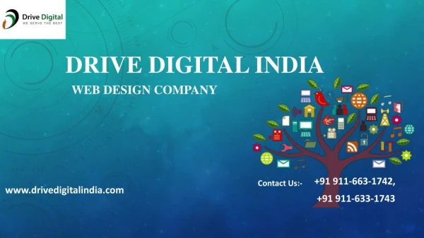 Drive Digital India | Web Designing Comany in India