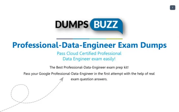 Valid Professional-Data-Engineer Exam VCE PDF New Questions