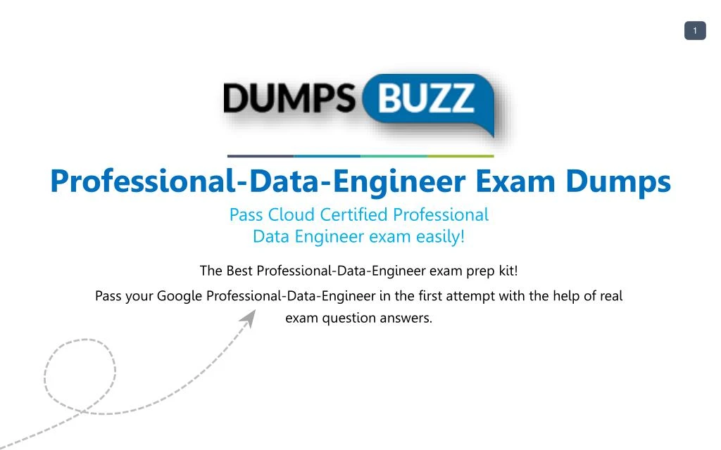 professional data engineer exam dumps