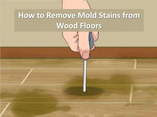 How to Remove Mold Stains from Wood Floors by Carolina Water Damage Restoration