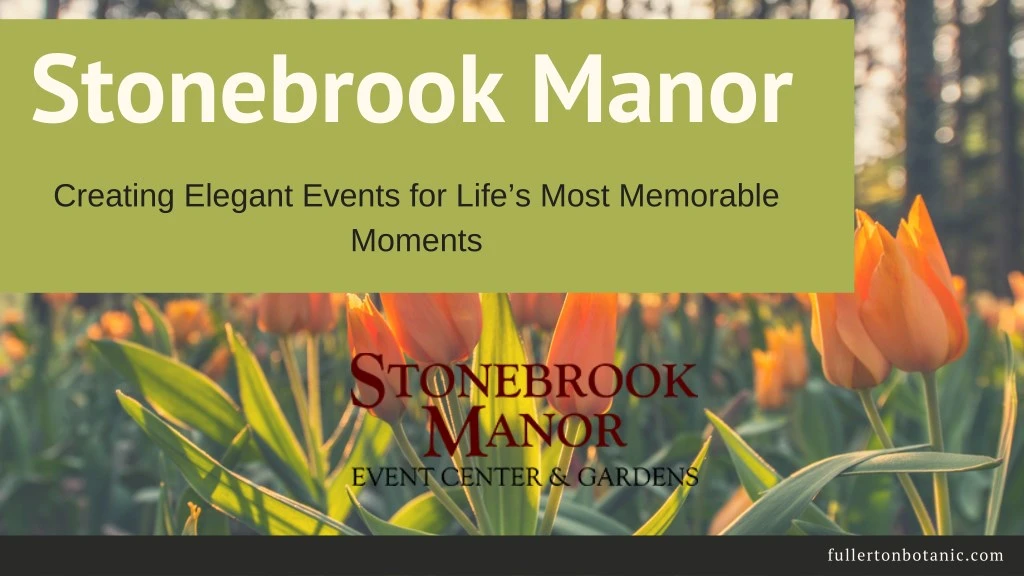 stonebrook manor