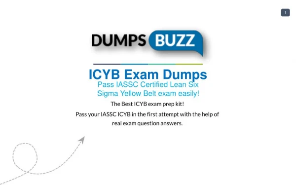 IASSC ICYB Test vce questions For Beginners and Everyone Else