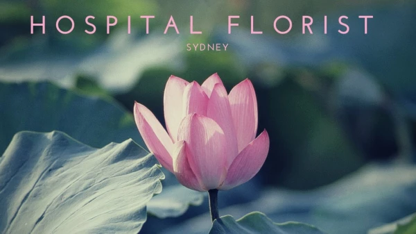 Send Flowers to Hospitals in Sydney