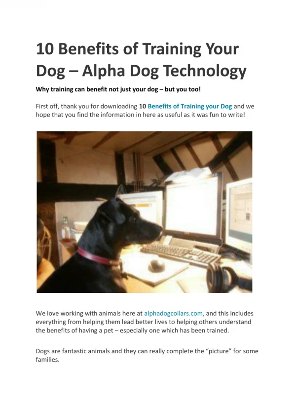 10 Benefits of Training Your Dog â€“ Alpha Dog Technology