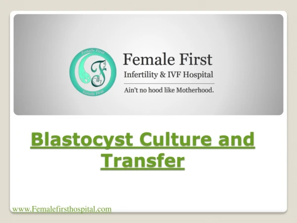 Blastocyst Culture and Transfer
