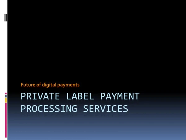Private Label Payment Processing Services - Stark Payments