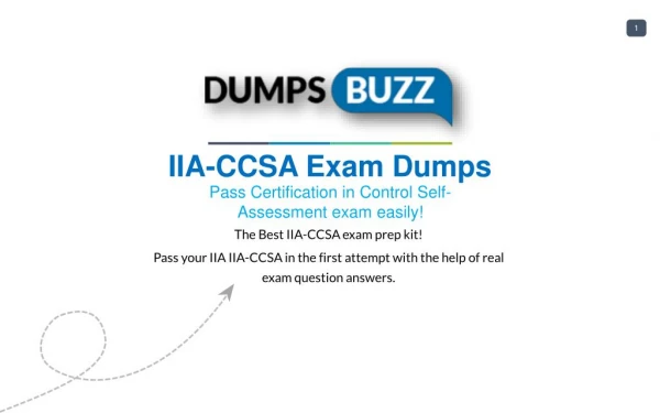Valid IIA-CCSA Exam VCE PDF New Questions