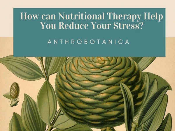 How can Nutritional Therapy Help You Reduce Your Stress?