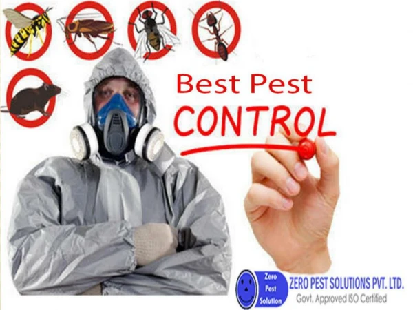Affordable Termite Treatment in Gurgaon
