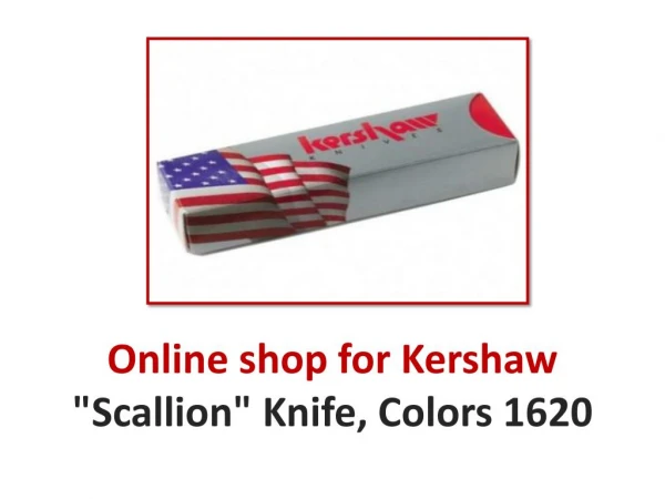 Online shop for Kershaw "Scallion" Knife, Colors 1620